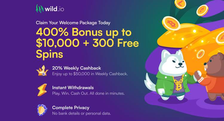 Wild.io crypto gambling site