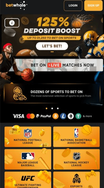 Best online sportsbook for payouts