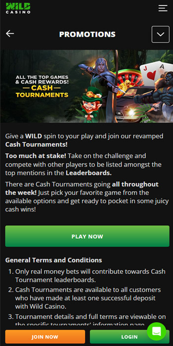 wild casino bonus