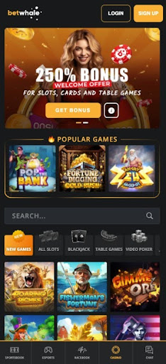 BetWhale: Best New Online Casino Overall